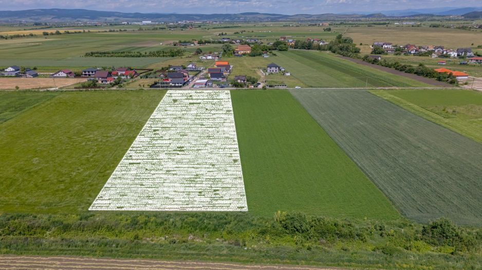 Teren 9.300 mp Stupini | Front 45.59 m la Asfalt | PUG Zonă L1c - Poză 3