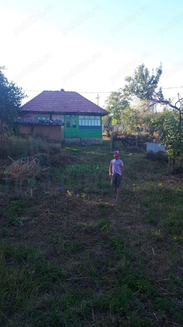 SUPER OFERTĂ: 5000 mp,gaze,canalizare, curent jud Iasi Loc. Ceplenita - Poză 3