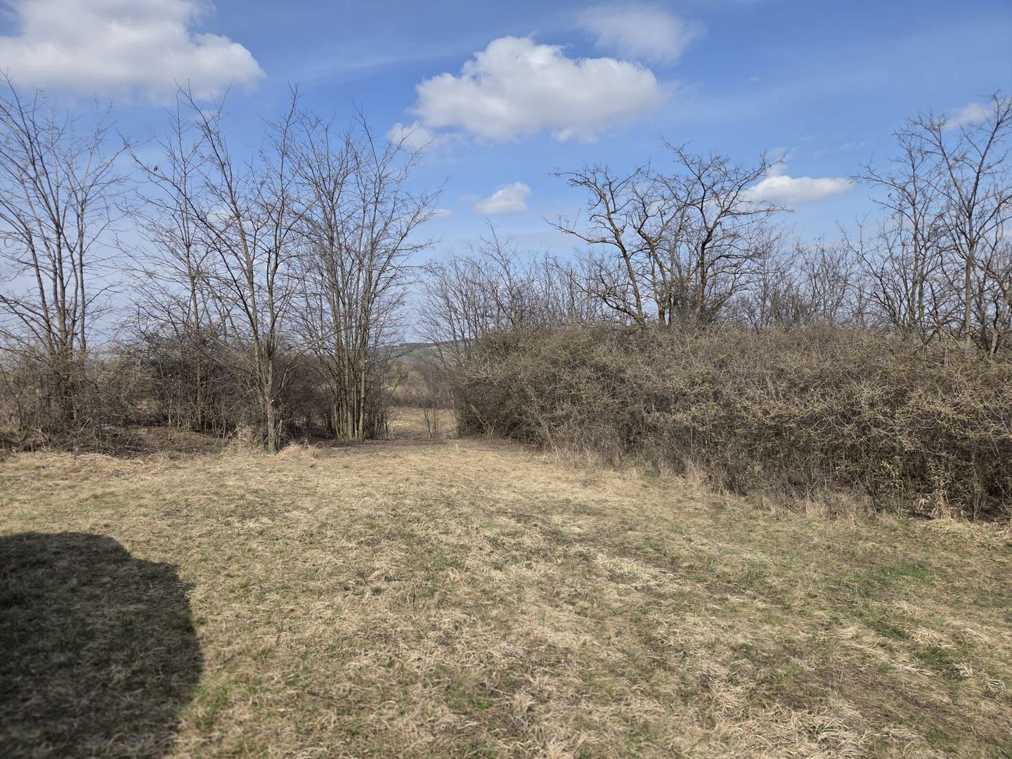 Teren de vanzare Pata Cluj - Poză 7