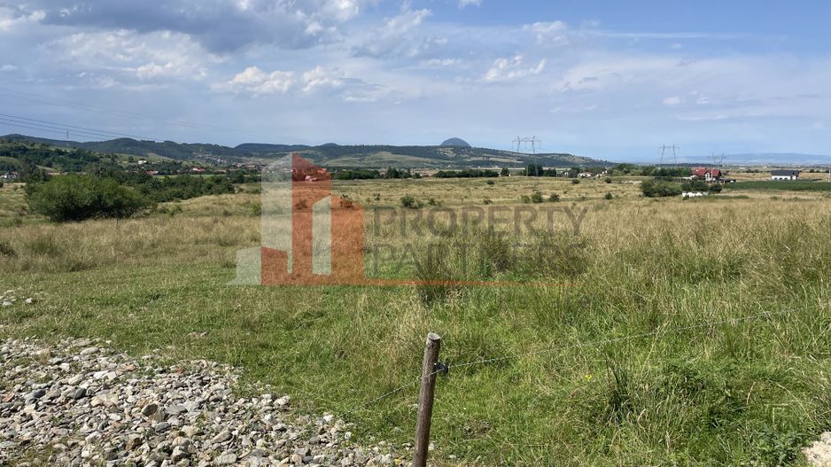 Teren de vanzare in  Tohanu Nou-Sohodol 6200 mp - Poză 5