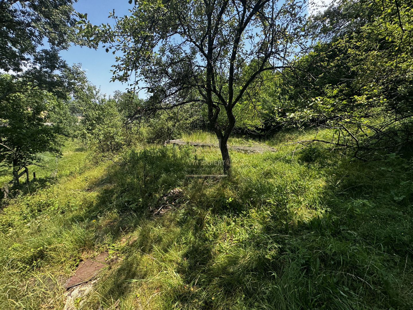 TEREN INTRAVILAN 2146 MP, ALBESTII DE MUSCEL, ARGES - Poză 14