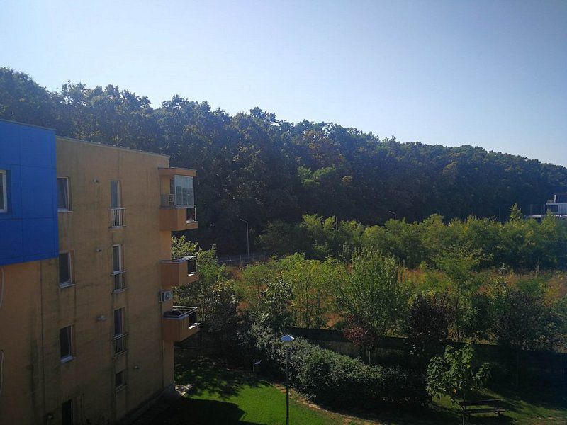 Garsoniera in Greenfield langa padure, 3/3, dec, spatioasa, vedere padure - Poză 1