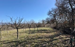 Teren intravilan | Berința | 5800 mp - Poză 6