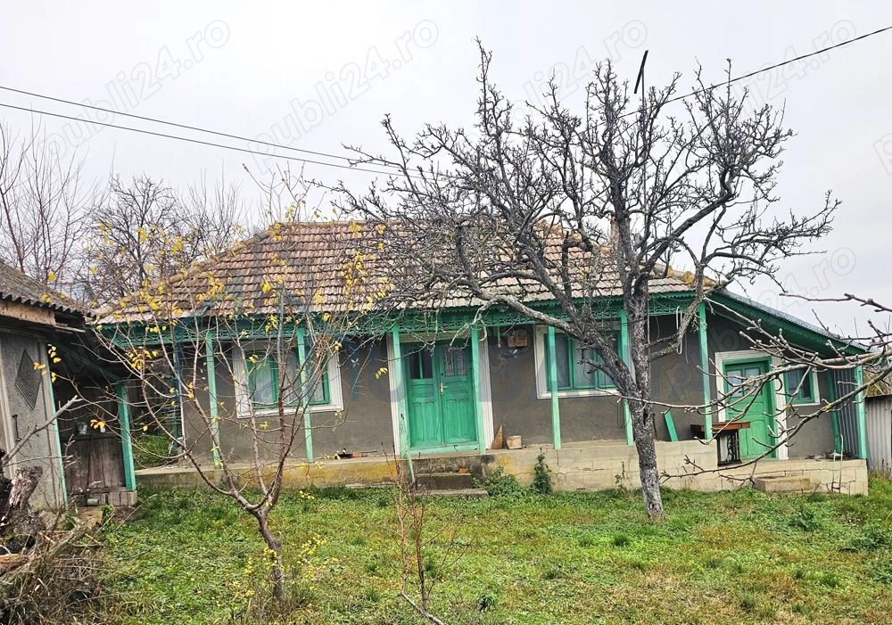 Casa + teren generos 5000 mp intravilan cu livada tanara si vita de vie productiva. - Poză 1