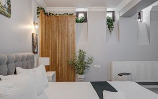 Vindem Afacerea ! Mini Hotel + Cafenea/ Restaurant ! Parcul Carol ! - Poză 70