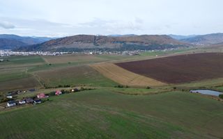 Teren intravilan 10.000 mp Gârcina lângă Sala Polivalenta Piatra Neamț - Poză 8