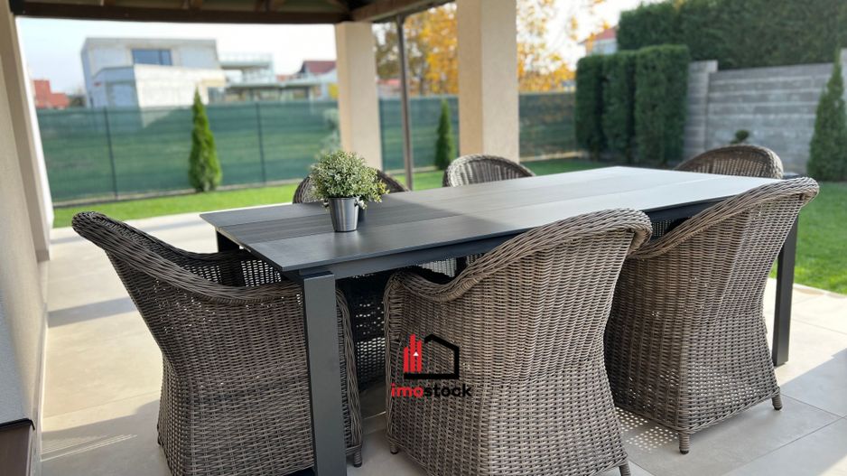 Vila superba Dumbravita - Poză 11