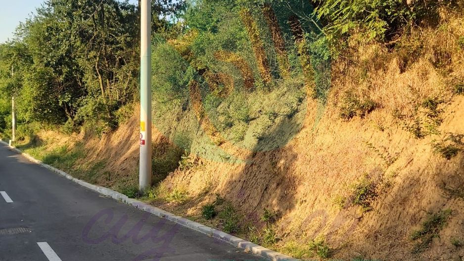 TEREN 1690 MP - ORAS STREHAIA - Poză 6
