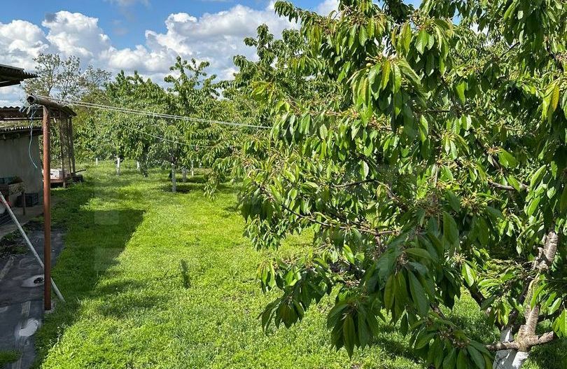 Vânzare, сasă, strada Calea Moșilor, s. Pelinia, or. Drochia - Poză 17