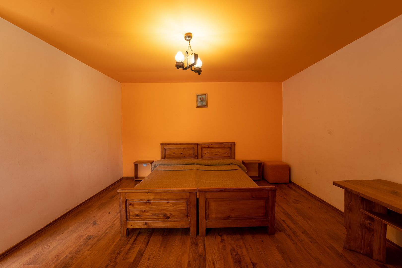 Domeniu în satul Căprioara - Poză 66