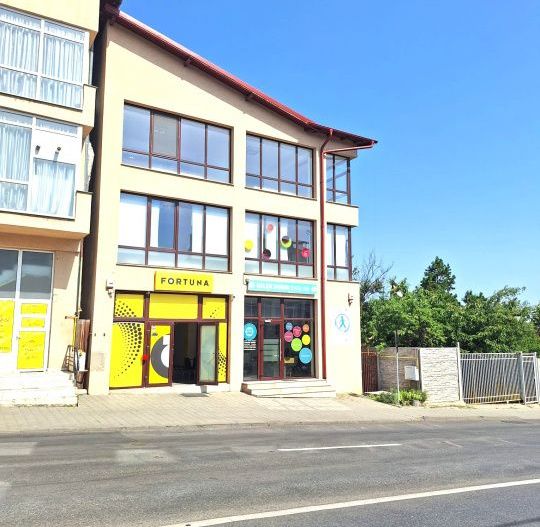 Spatiu Comercial Multifunctional Banat-CLASA A - Poză 1
