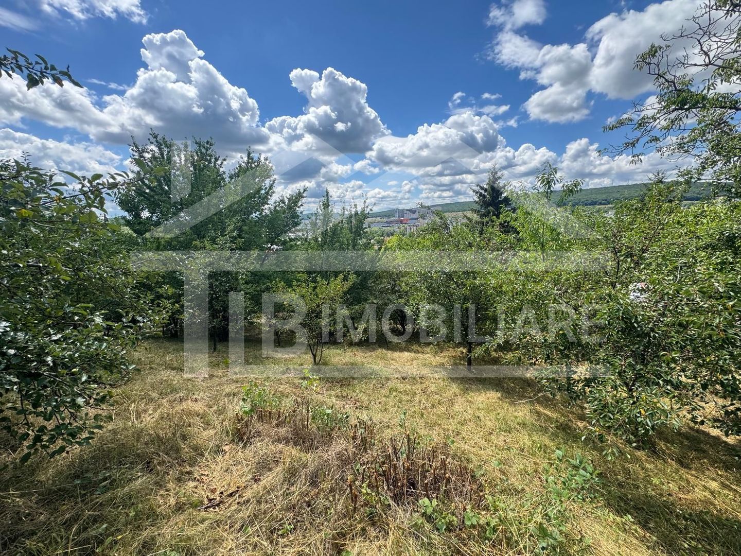 Casa cu 3 camere, 2300mp teren, zona SubPadure - Poză 14