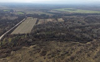 Teren extravilan 95.23 ha lângă Caransebeș - Poză 19