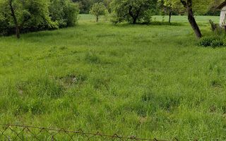 Teren cu acces la râu în Stejar – ideal pentru cabane sau retreat - Poză 4