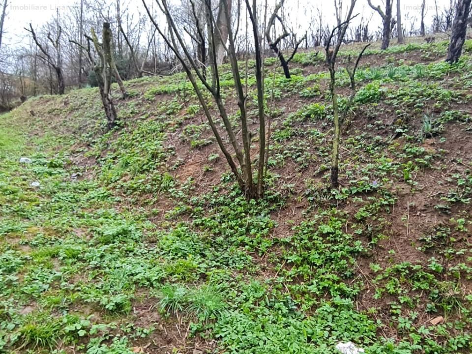 Teren intravilan1291 mp Schei Str Nisipului iesire la Drumul Poienii - Poză 9