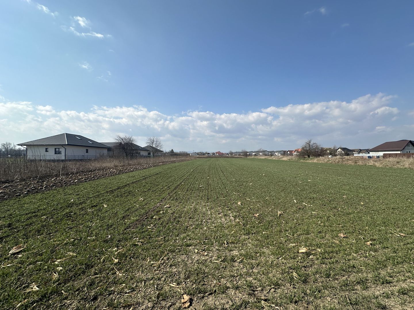 Teren intravilan 20 ari | Rădăuți | Front stradal 19.49 m - Poză 11