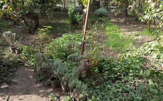Casă și teren zonă ultracentrală,560 000 euro - Poză 4
