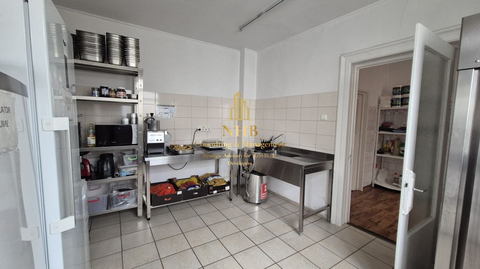Spațiu Comercial de Vânzare în Domenii – 14 Camere, 351 mp Teren - Poză 3