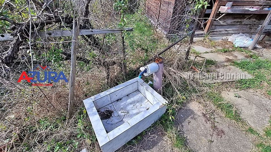 AZURA Imobiliare - Teren Budeasa Galasesti - Poză 5