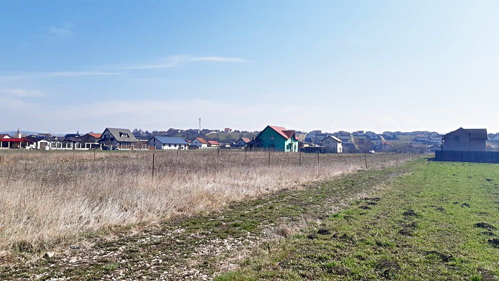 Bod, teren intravilan 700mp, pret 20 euro/mp - Poză 8