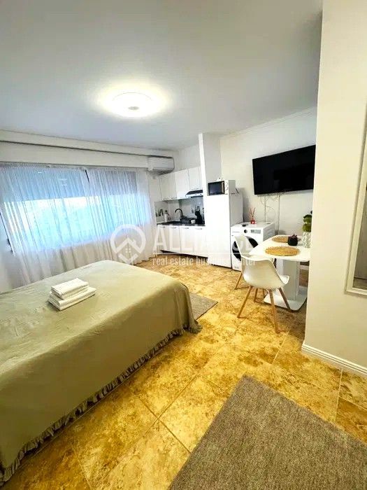 CAMPUS (COD10) - STUDIO DE VANZARE - Poză 2