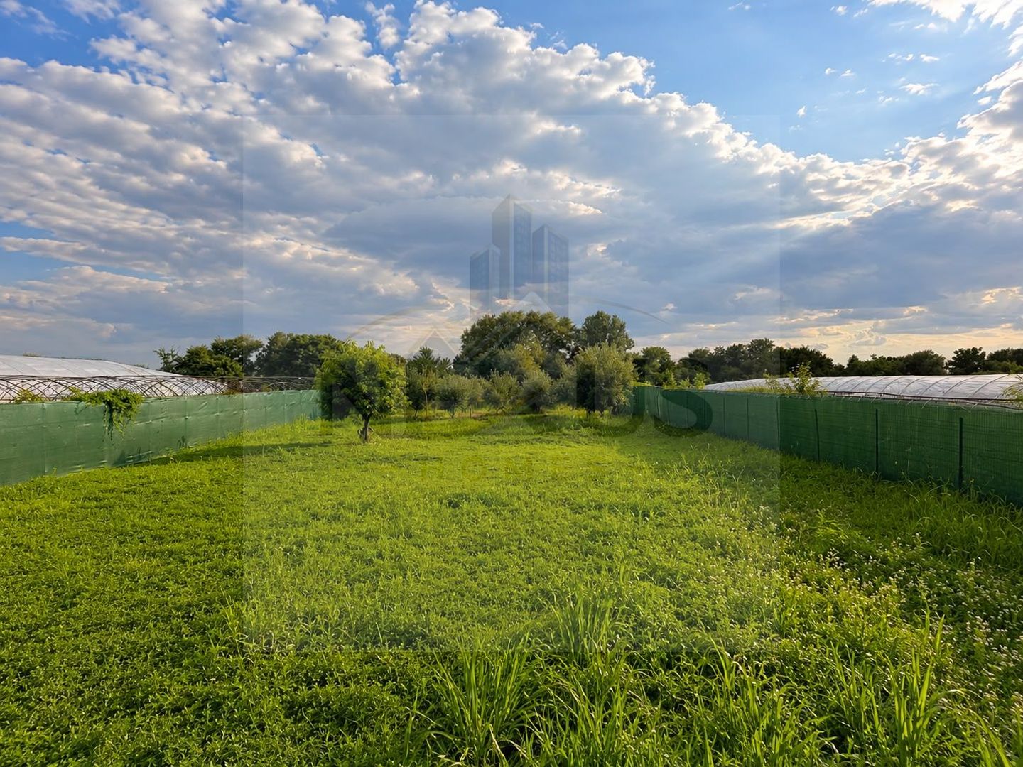 Teren 4.500 mp -Com Vidra - Casa P+M - Livada - Investitie - Poză 6