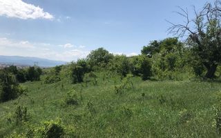 Teren extravilan - 8000 mp, Gusterita - Poză 4