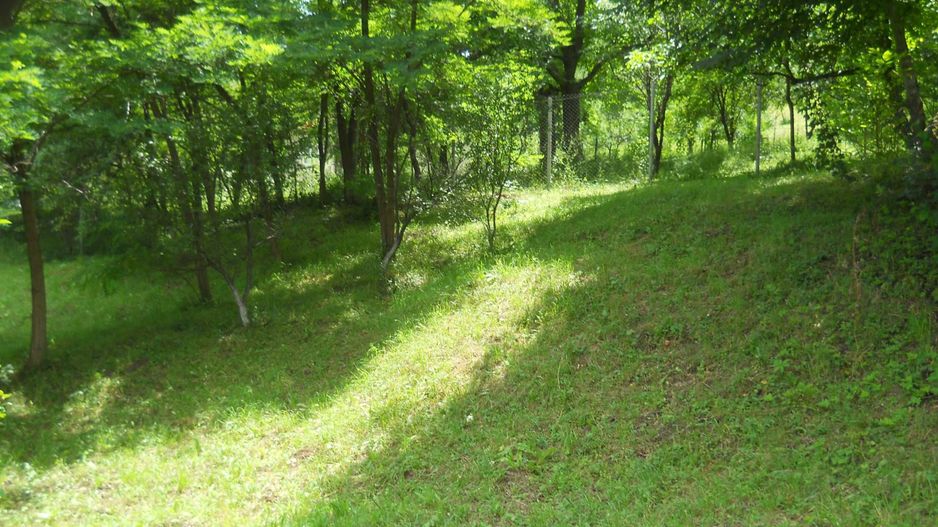 Teren Breaza de Jos, Prahova, Podu Vadului, 3750 mp (posibilitate si de 6000 mp) - Poză 5