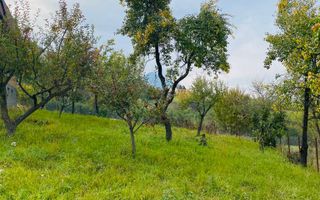 Casa + teren 1700 mp langa Padure Bran/ Predelut - Poză 13