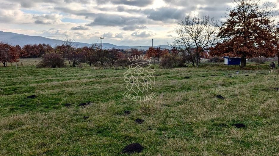 Teren intravilan 800 mp-ideal casa, investitie-Zona Dr. Dumitrei - Poză 2