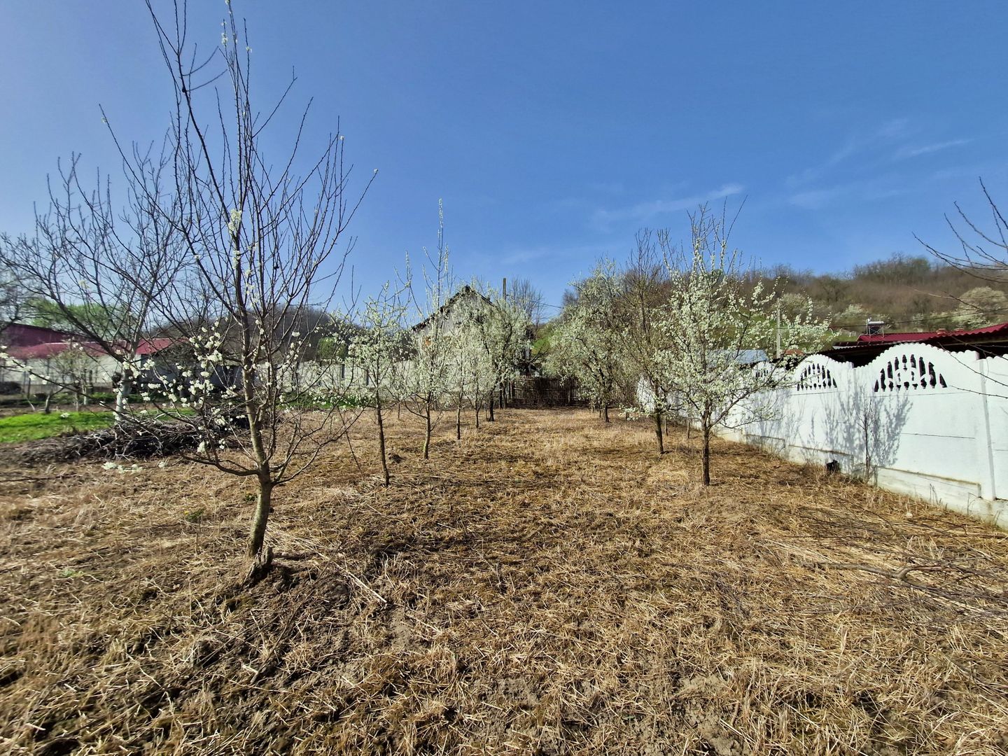 AZURA Imobiliare - Teren si Casa Micesti - Poză 4