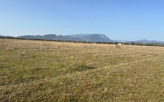 Teren cu deschidere la DN 73A Rasnov langa Kaufland 7300 mp - Poză 3