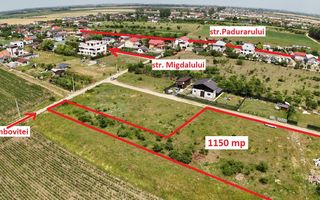 DOMNESTI-TEGHES, TEREN 1.150 MP! - Poză 5