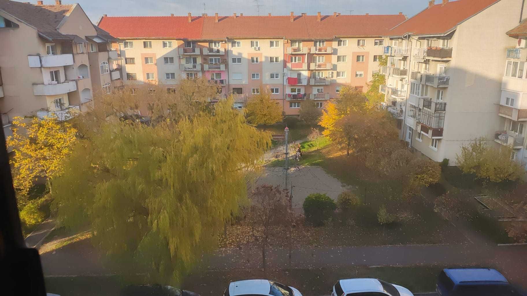 BRASADAS vinde ap 3 cam etaj 4/4 in Carpati 2. - Poză 8