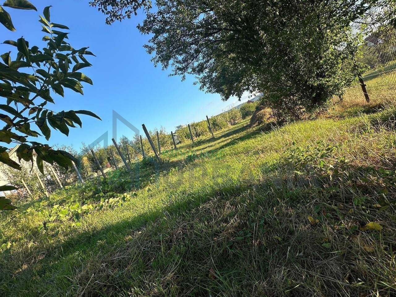 Teren intravilan de vânzare în centrul comunei Bârnova, Iași - Poză 4