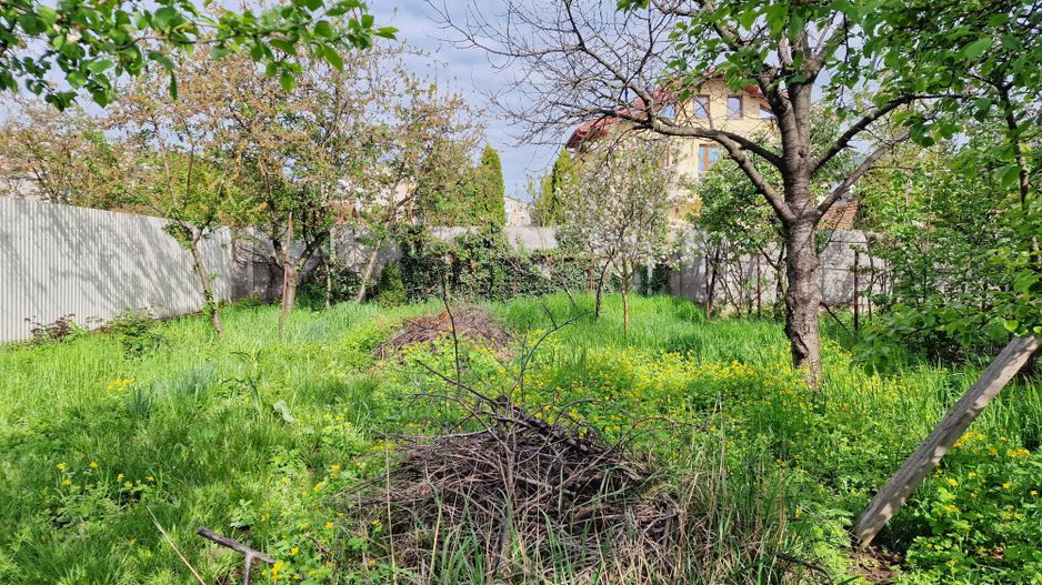 Teren spațios cu casă veche in Vlaicu - Poză 7