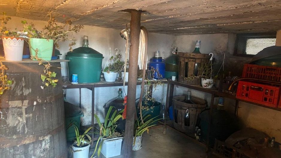 Proprietate cu potențial turistic și agricol | 7.661 mp|Șomanești-GORJ - Poză 16