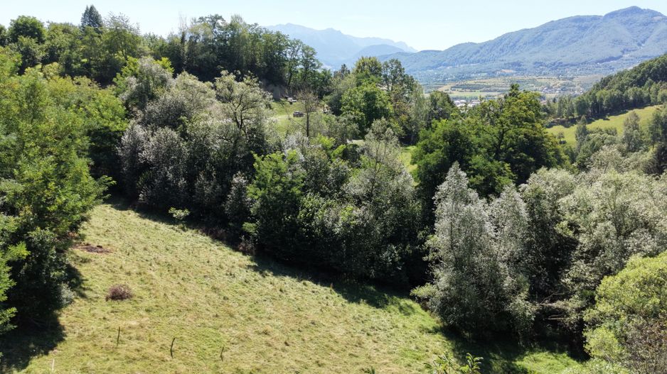 TEREN DE VÂNZARE – ZĂRNEȘTI 2200 Mp - Poză 10