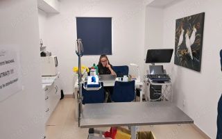 Spatiu comercial *187mp* | Aviatiei - Poză 5