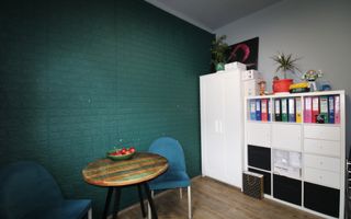 Casa individuala, curte/gradina/parcare; zona Balcescu. Birouri. - Poză 9