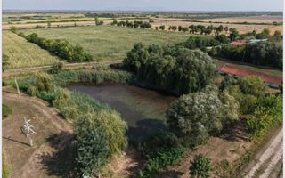 Spatiu multifunctional Salonta - Poză 6