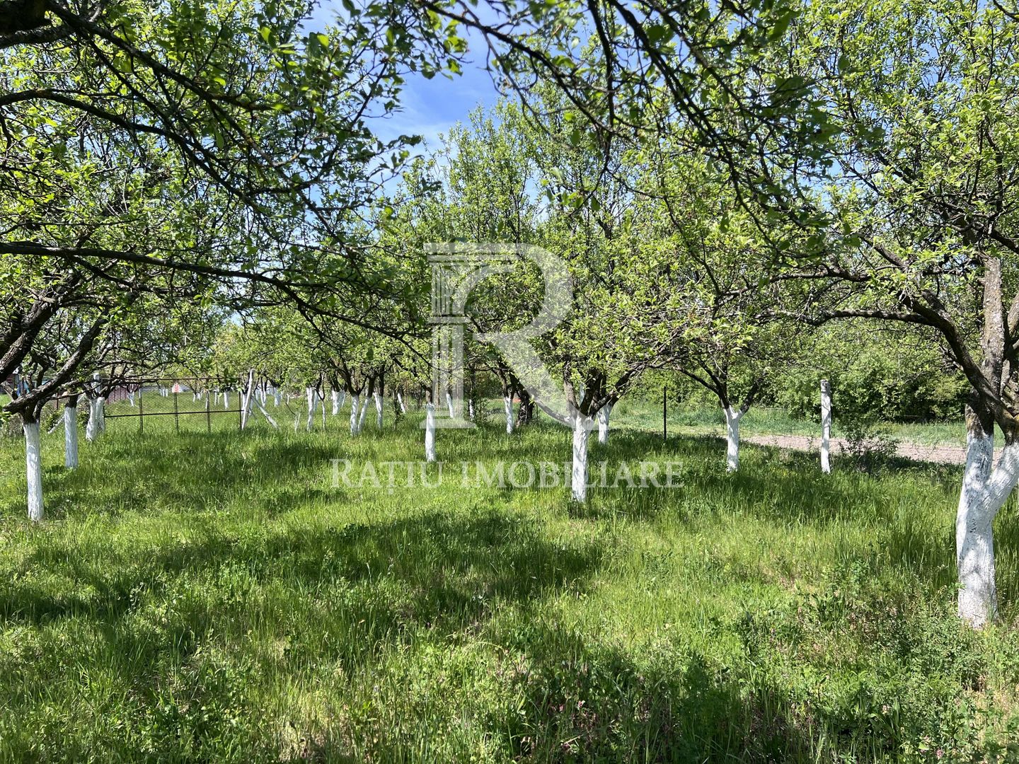 Casă de vacanță + livadă | teren 3000 mp | Chijic | Bihor - Poză 15