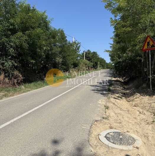 Teren Aroneanu 7200 sau 14.400 mp - toate utilitatile - la asfalt - Poză 2