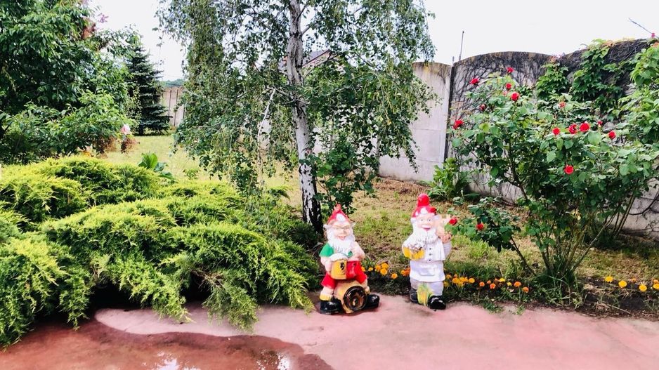 Vila Vulpesti Buzoesti - Poză 41