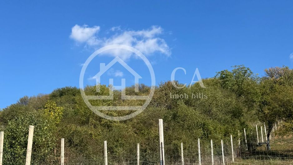 Teren de vânzare in zona de Dealuri, Oradea - Poză 3