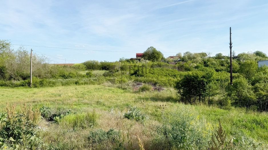 Teren intravilan 5680 mp la E671 / DN in Les, Bihor - Poză 4