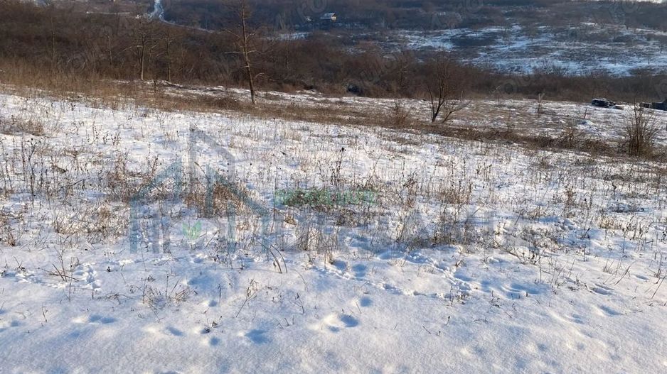 Vând teren extravilan (2026 intravilan) 2500 mp parcelabil zona hlincea lunca cetatuii - Poză 3