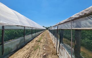 Afacere la cheie! Incasari din prima zi!!! - Poză 6