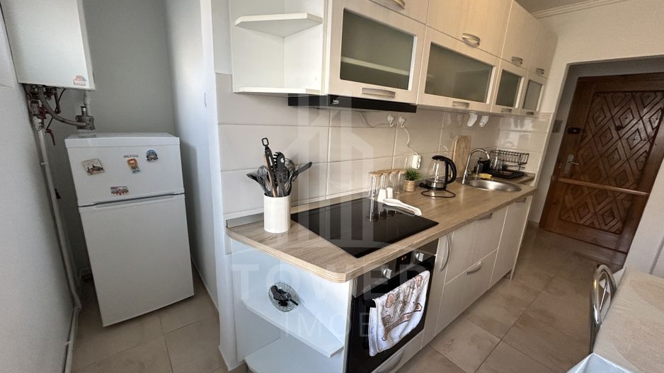 Apartament de închiriat | Bulevardul Victoriei - Parcul Sub Arini - Poză 6