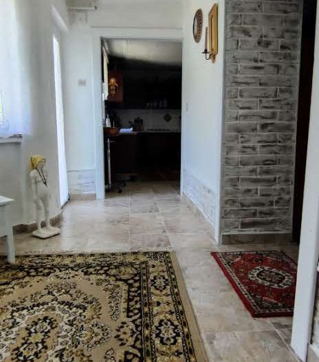 CASA RECAS CU 1438 MP TEREN - Poză 2